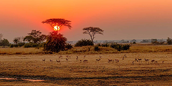 Southern Africa