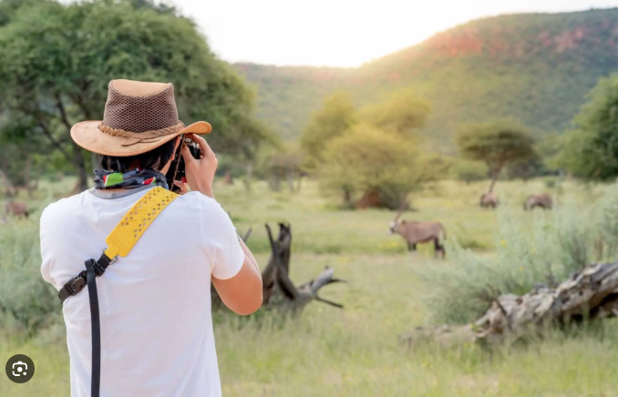 Safari & Wildlife Adventures