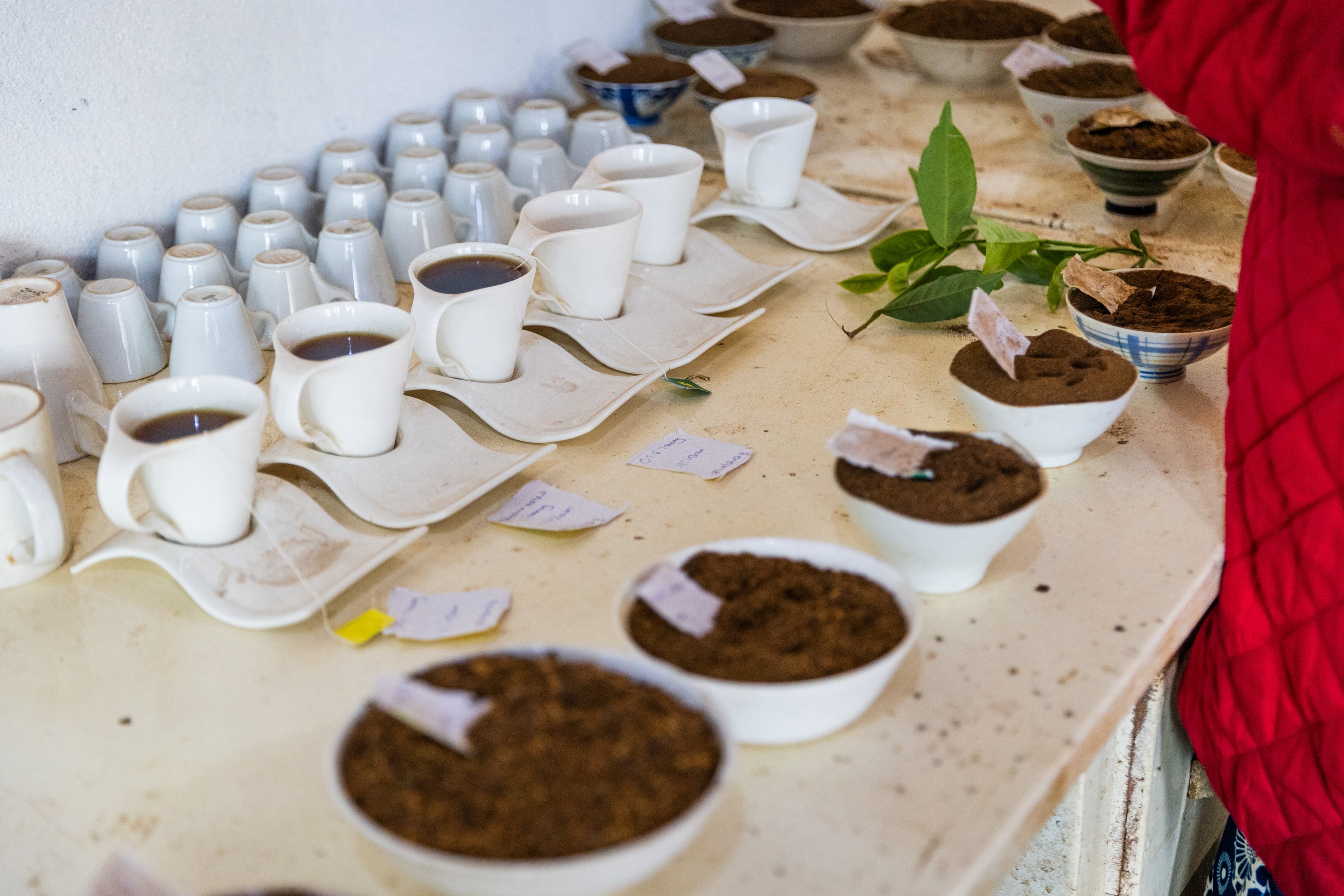 A Deep Dive into Africa's Coffee Culture